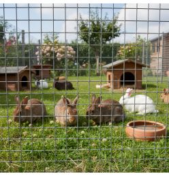 Grillage lapin