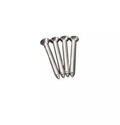 Lot de 4 vis pour platine inox clôture composite Ness